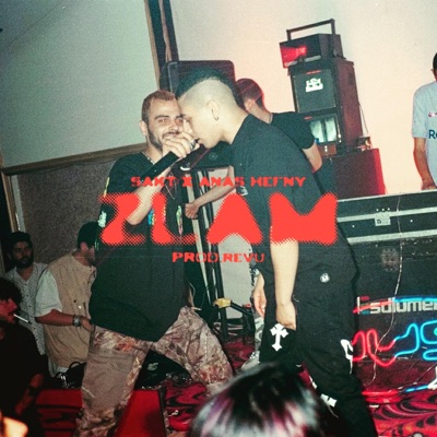 ZLAM (feat. Anas hefny & Revu) - Single