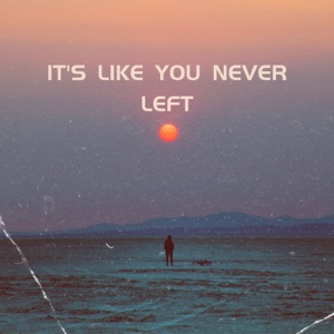It's Like You Never Left (feat. Lory Dem & Epic Media Net)