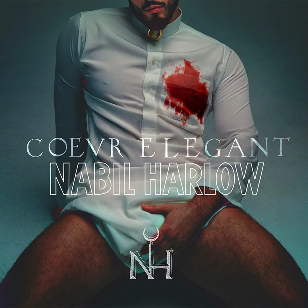 Nabil Harlow - cœur élégant (2024) [iTunes Plus AAC M4A]-新房子