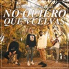 No Quiero Que Vuelvas - Single