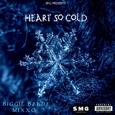 Heart So Cold (feat. Mixxo) - Single