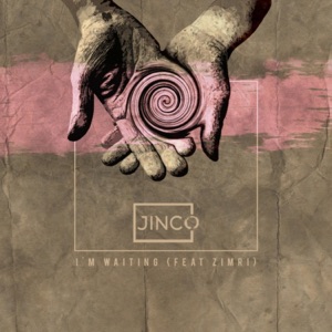 I'm Waiting (feat. Zimri) - Single