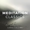 Soothing Oasis - Chris Collins lyrics