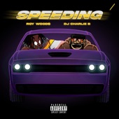 Speeding artwork