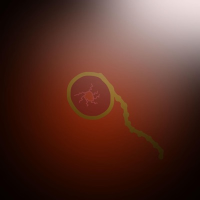 The Watcher - Single