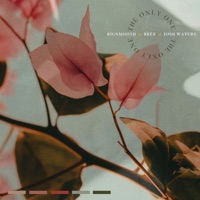 The Only One (feat. Josh Waters & BRËZ) - Single - Bigsmooth