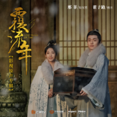 Cover art for 今夕何夕(女版伴奏) by 弦子