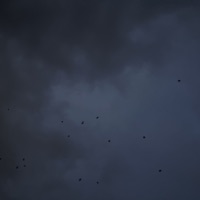 Time Flies By - Single - Colens