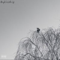 Maybe In Another Life - D.Higgs