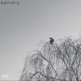 Eclipse (feat. Brevin Kim) D.Higgs