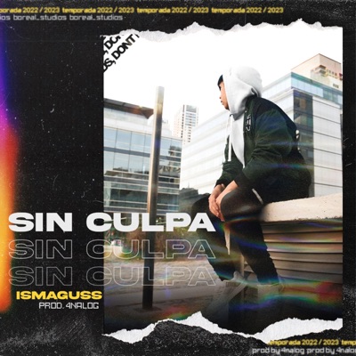 Sin culpa (feat. 4nalog) - Single
