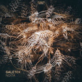Noita GaleteK