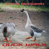 Duck Walk artwork