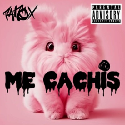 Me Cachis - Single