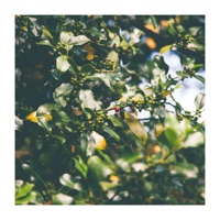 Keep Listening and Calm Down - Stress Relief Helper