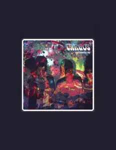 聆聽 Los Largos、觀看音樂影片、閱讀小傳、查看巡演日期等！