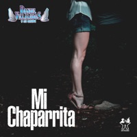 Mi Chaparrita - Single - Daniel Villalobos y Su Grupo