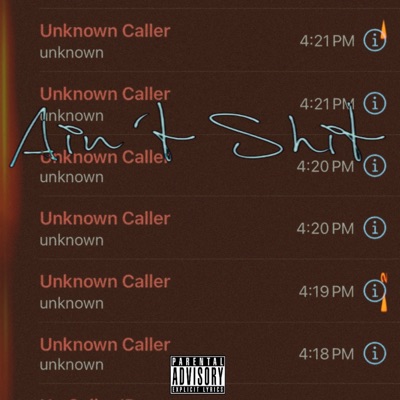 Ain't Shit - Single