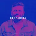 Despedida