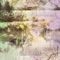 In the Flowers - Lofi Forest lyrics