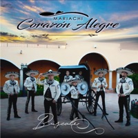 Mariachi Corazón Alegre - Bùscale
