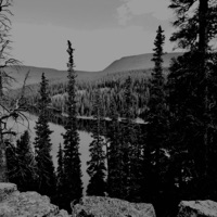 TAMARACK (feat. Yung Ripper) - Single - STZYWENDIGO