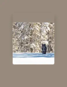 Posłuchaj wykonawcy KINTEX, obejrzyj teledyski, przeczytaj biografię, zobacz daty tras koncertowych i nie tylko!