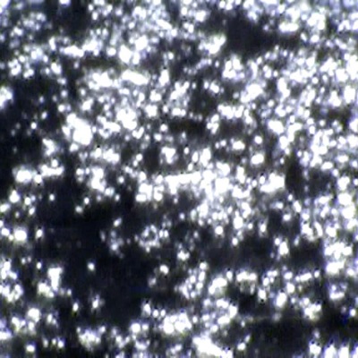 Last day on Earth (feat. The Big Kase) - Single