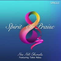 Nne Ndi Shumela (Live) [feat. Takie Ndou] - Single - Spirit of Praise