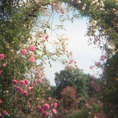 Garden (feat. Branden Matias) - Single