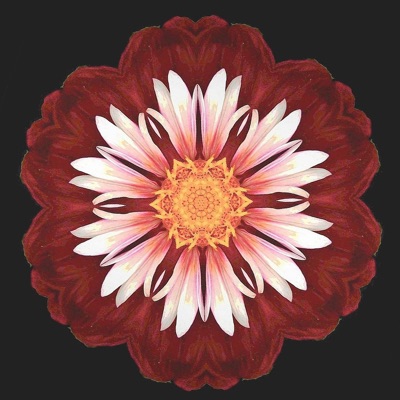 Fare Thee Well - Single