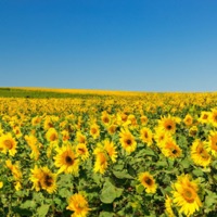 You - Single - Belzar