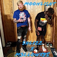 Moonlight (feat. M3LLOWX95) - Single - Shlizz