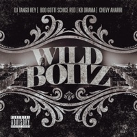 Wild Boiiz (feat. BooGotti ShiceRed & KB Drama) - Single - Dj TanGo Rey
