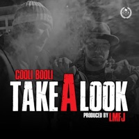Take a Look - Single - Cooli Booli