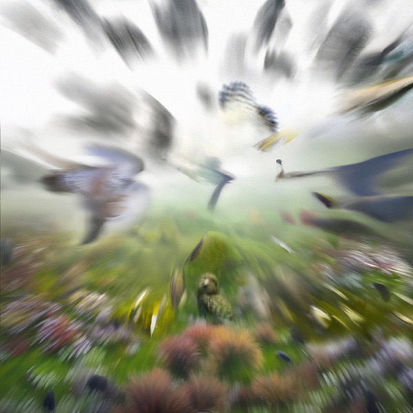 Take To the Skies