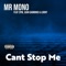 Cant Stop Me (feat. SPM, Juan Gambino & Loony) - Mr. Mono lyrics