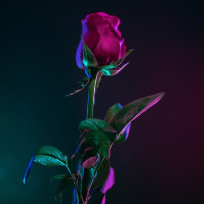 All We Do - Single