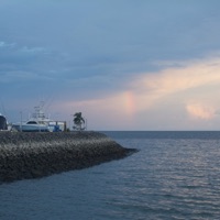 LA RECETA HIBRIDA - Single - Ella Ponce