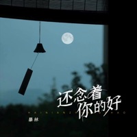 还念着你的好 (DJ默涵版) - Single - 暴林