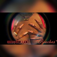 Reaches (feat. B Roy) - Single - Iesha B