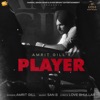 Player - Single