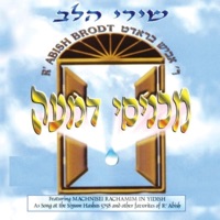 אביש בראדט - מכניסי דמעה