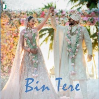 Album cover for Bin Tere - Single by Tanishk Bagchi, Zahrah S Khan & Romy