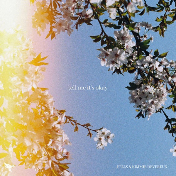 Tell Me It's Okay - Single