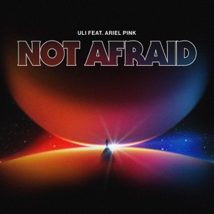 Not Afraid (feat. Ariel Pink) [Radio Edit] - Single