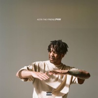 Pnw - Single - Kota the Friend