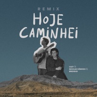 HOJE CAMINHEI