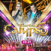 15 Anos, Vol. 1 (Ao Vivo) - Banda Calypso