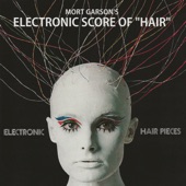 Electronic Hair Pieces artwork